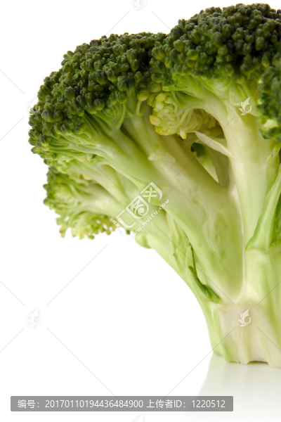 西蘭花