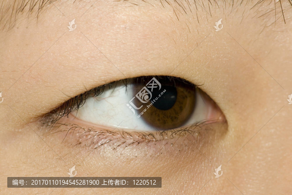 382亞洲人的眼睛