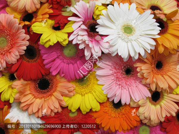 花