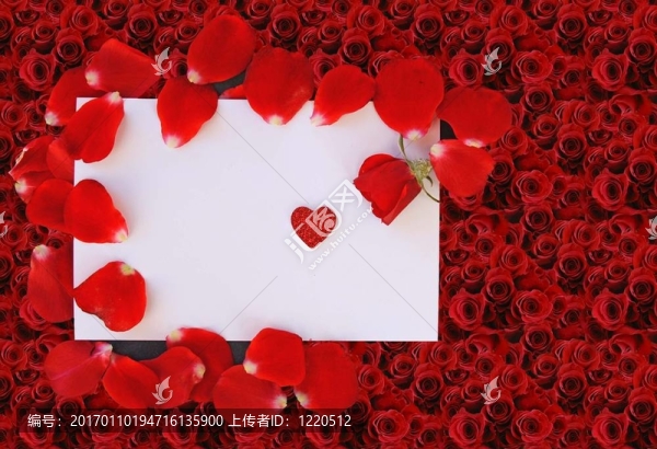 玫瑰與愛情