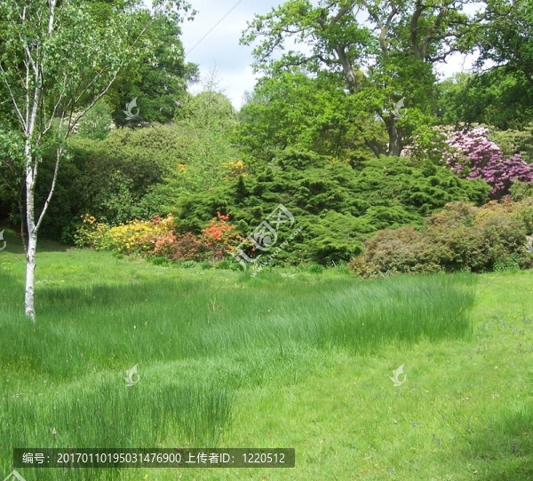 花園-匯圖網(wǎng) www.fosd68.com 花園