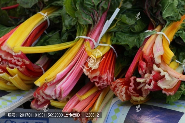 豐富多彩的甜菜
