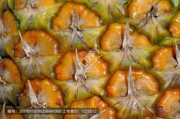 菠蘿