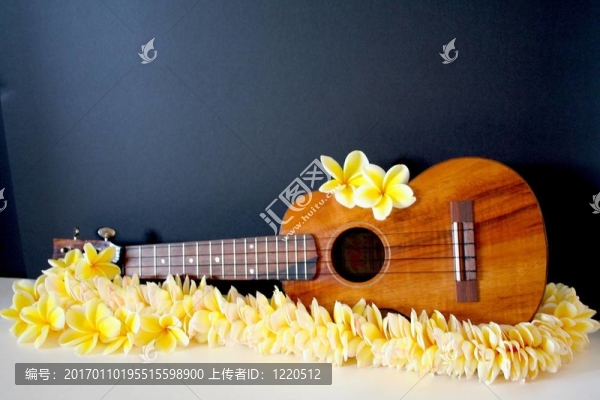 夏威夷的雞蛋花