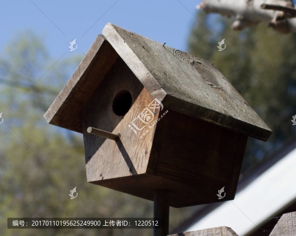 木制鳥屋2