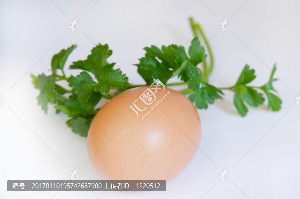 雞蛋