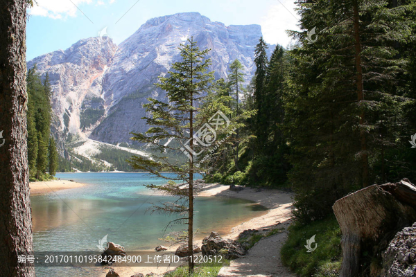 2的脙錄dtirol