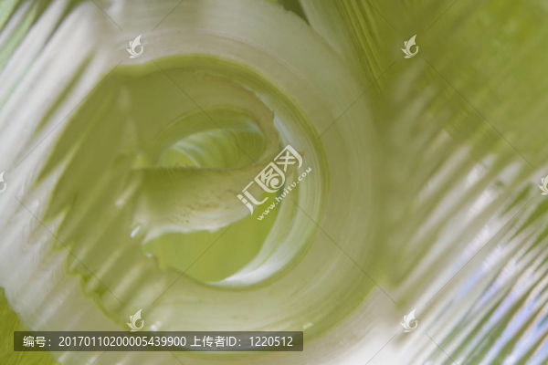 摘要Green,Glass