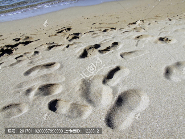 海灘上的細(xì)節(jié)