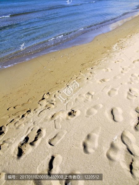 海灘上的細(xì)節(jié)