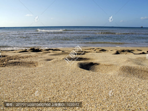 海灘上的細(xì)節(jié)
