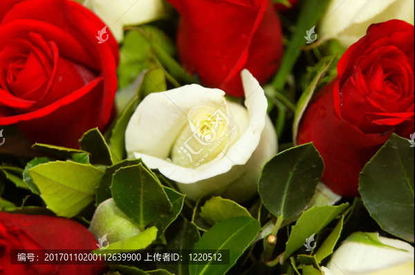 新娘花束