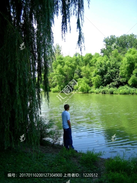 反射的男孩