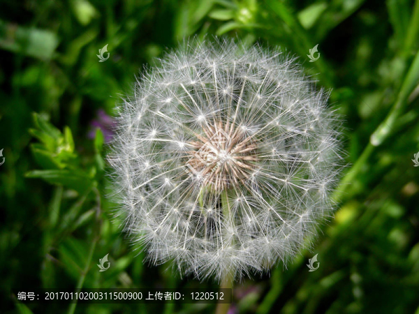 模糊球-匯圖網(wǎng) www.fosd68.com 模糊球