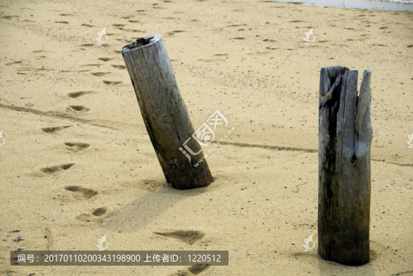 海灘上的帖子