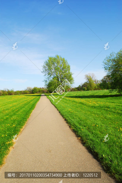 夏天的風(fēng)景