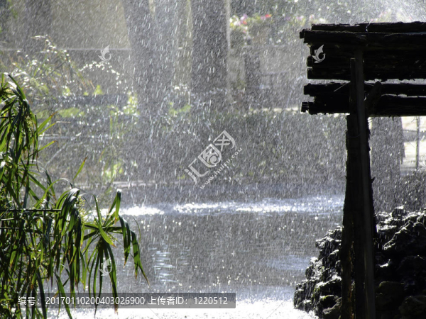 東方雨
