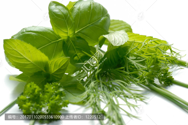 白里的一堆草藥
