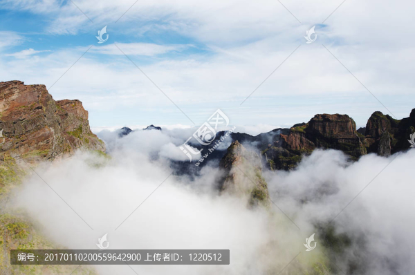 山