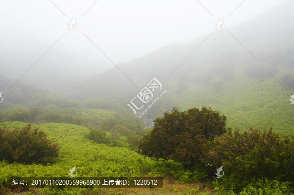 希爾-匯圖網(wǎng) www.fosd68.com 希爾