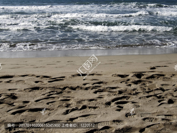 海灘上的細(xì)節(jié)