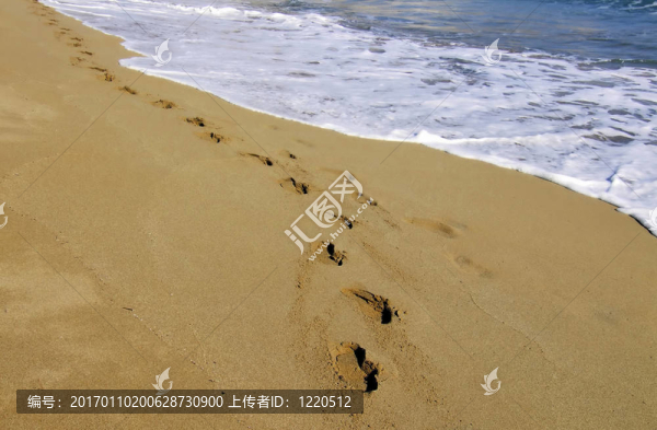 在海灘上散步