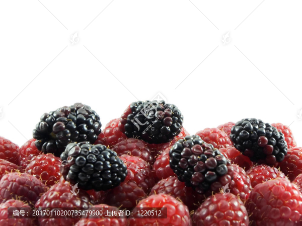 覆盆子和黑莓