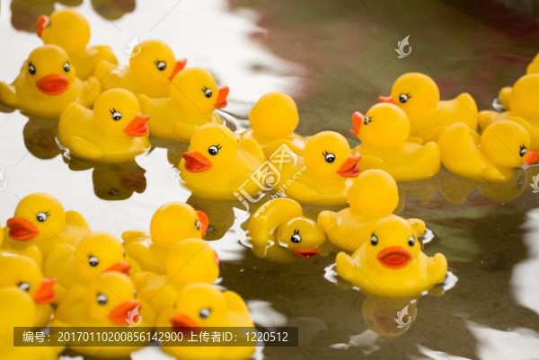 橡膠鴨-匯圖網(wǎng) www.fosd68.com 橡膠鴨