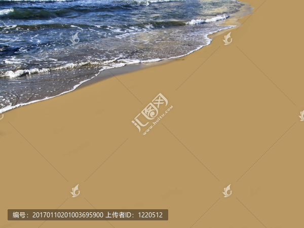 海灘上的細(xì)節(jié)