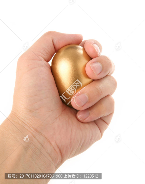 金蛋