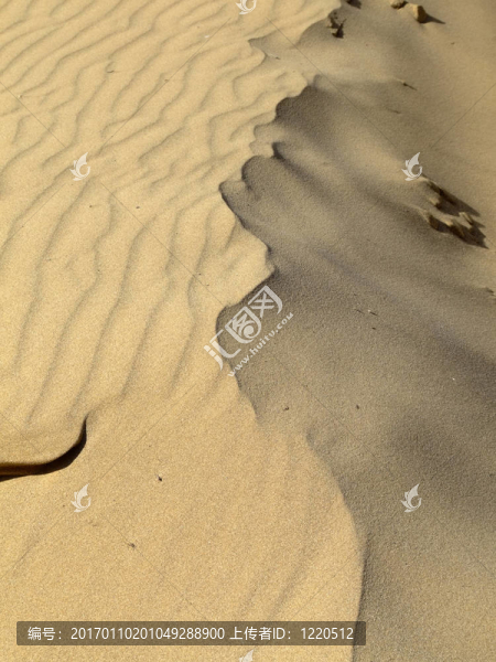 流動(dòng)沙丘
