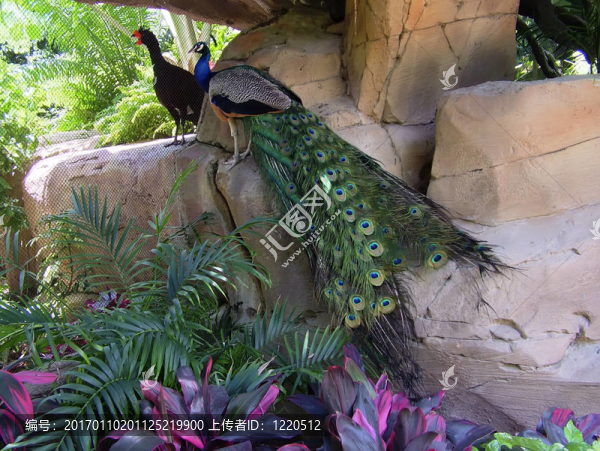天堂