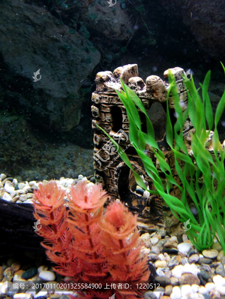 水族館