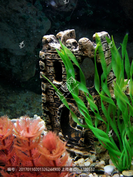 水族館