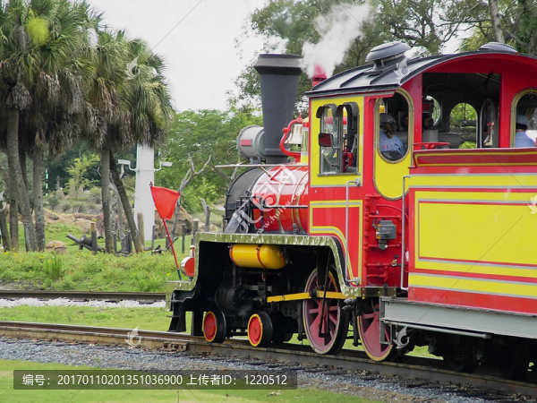 塞倫蓋蒂的表達