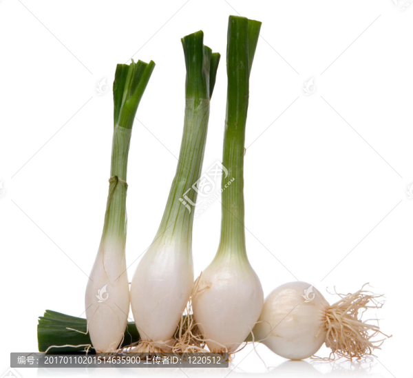 蔥