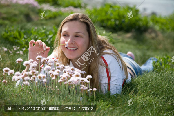 聞花