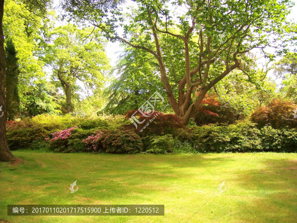 花園-匯圖網(wǎng) www.fosd68.com 花園