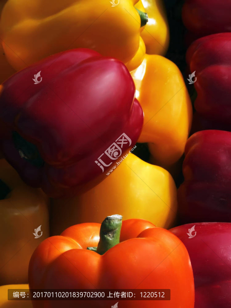 新鮮蔬菜