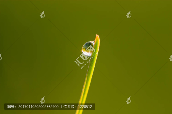 露滴