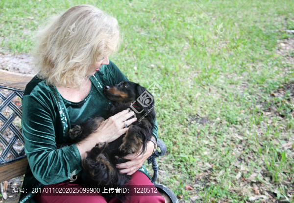 可愛的臘腸狗在公園里