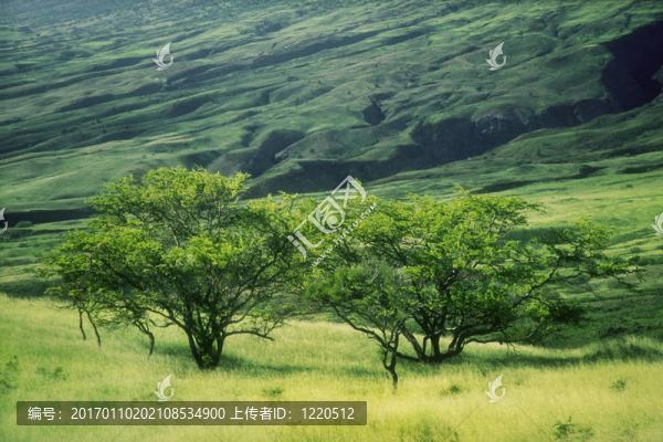 毛伊島的風(fēng)景