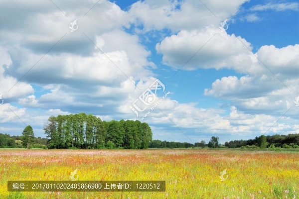 春天的風(fēng)景