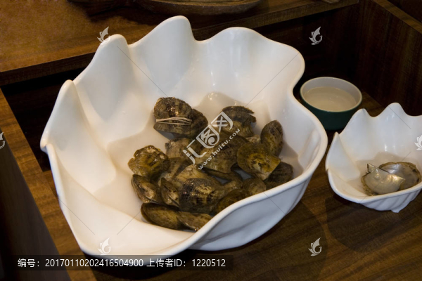 以軟體動物和珀爾板