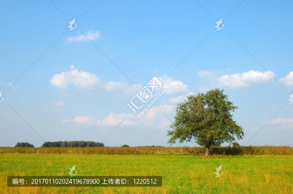 夏天-匯圖網(wǎng) www.fosd68.com 夏天