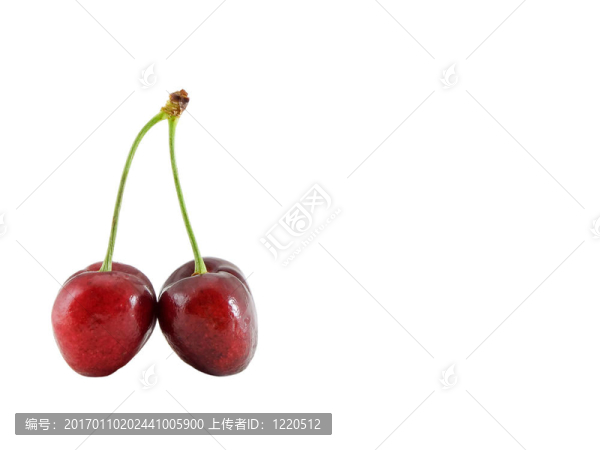 櫻桃-匯圖網(wǎng) www.fosd68.com 櫻桃