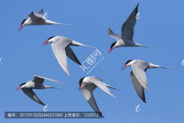 我在說(shuō)話…-匯圖網(wǎng) www.fosd68.com 我在說(shuō)話…