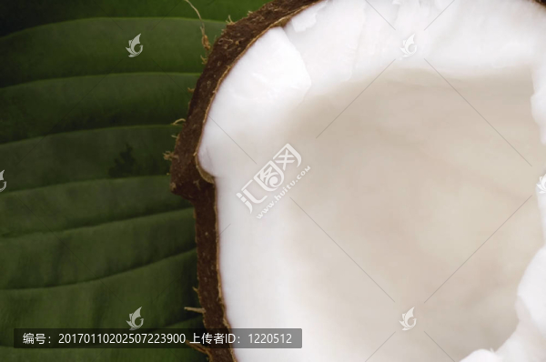 打開椰子和綠葉。異國情調(diào)的
