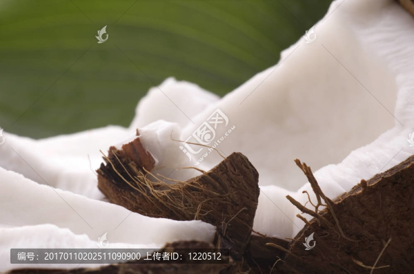 打開(kāi)椰子和綠葉。異國(guó)情調(diào)的