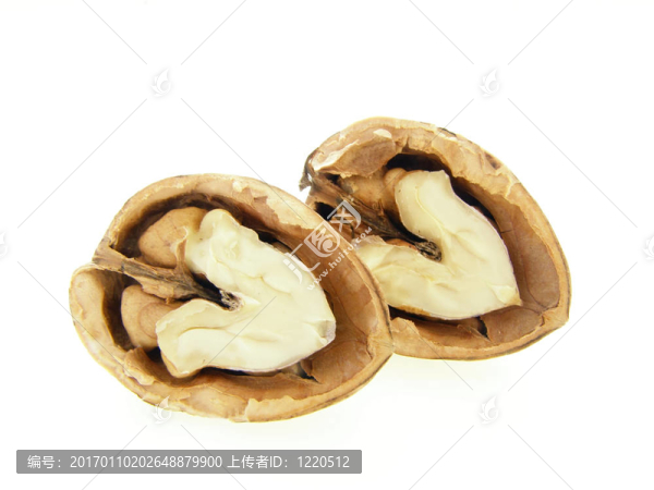 核桃殼和堅果